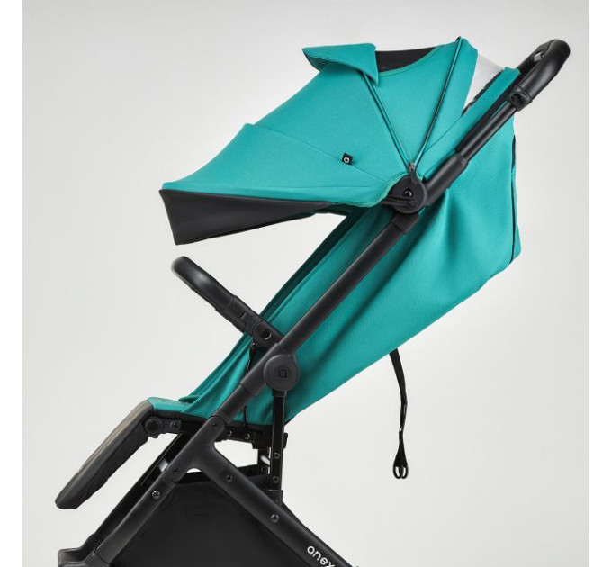 ANEX Air X