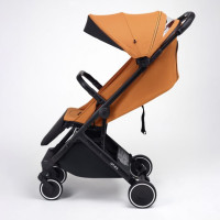Anex Air X