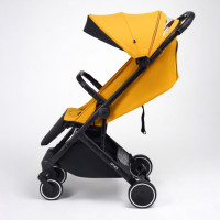 ANEX Air X