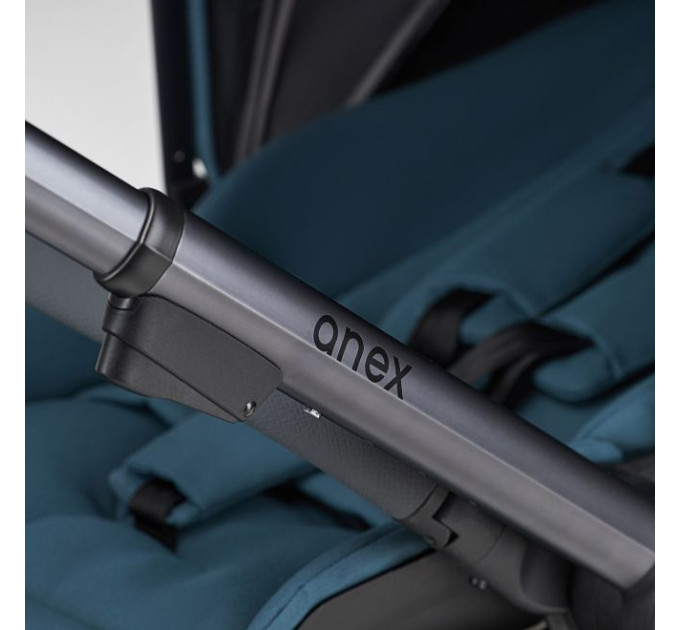 ANEX I/type