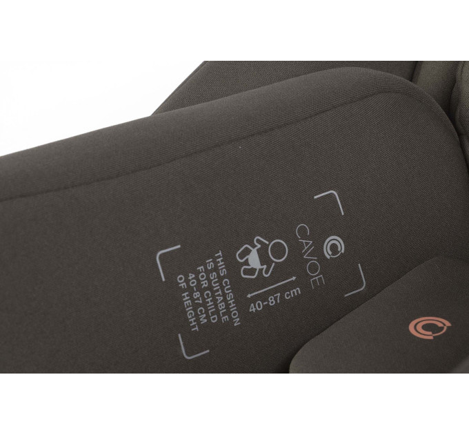 Cavoe AI  + IsoFix