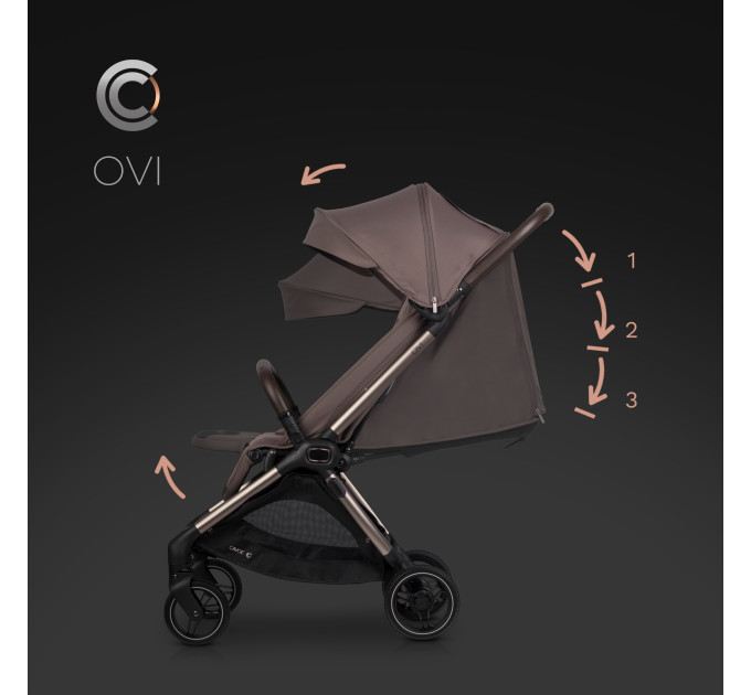 CAVOE OVI