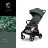 CAVOE OVI