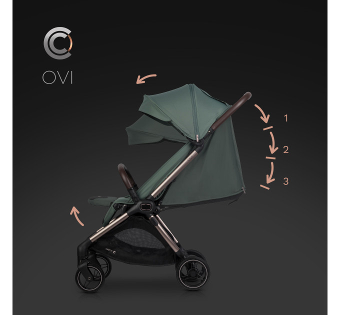 CAVOE OVI