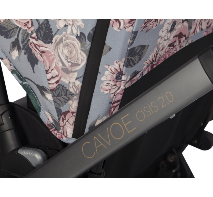 CAVOE OSIS 2.0